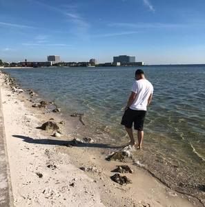 Meet your Posher, Jonathan